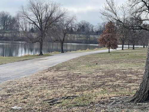 A serene landscape featuring a gravel path beside a calm lake, with bare trees and a cloudy sky in the background.