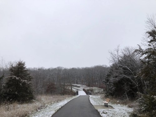 A snowy path leads to a bridge, surrounded by bare trees and a bench on the side, under a gray sky.