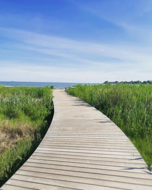 A winding wooden boardwalk leads through lush green grass towards a calm body of water under a clear blue sky.