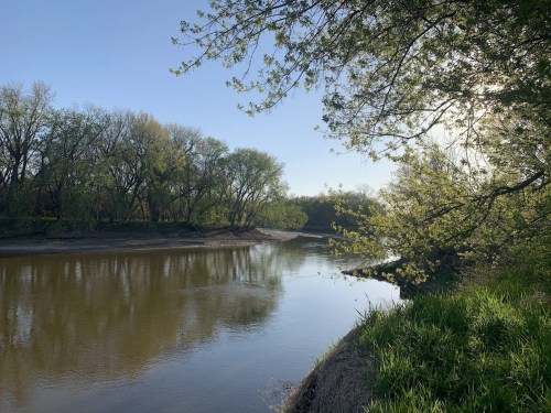 A serene river scene with lush trees and greenery along the banks, reflecting the clear blue sky.