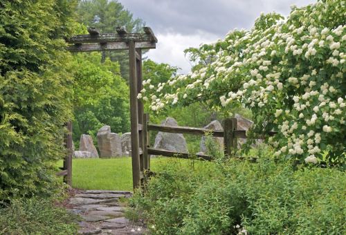 A wooden gate opens to a grassy area surrounded by lush greenery and flowering bushes under a cloudy sky.