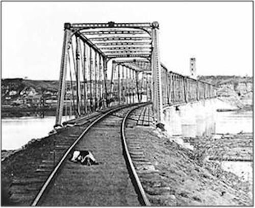 Black and white photo of a railway bridge over a river, with a dog lying on the tracks.