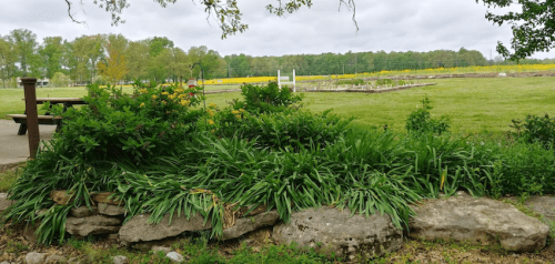 The 15 Best Things To Do In Kentucky In Spring