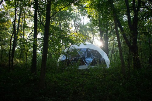 A geodesic dome nestled in a forest, surrounded by trees and dappled sunlight filtering through the leaves.