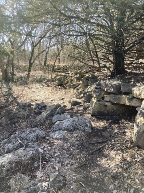 A rocky path winds through a wooded area, with a stone wall and trees in the background.