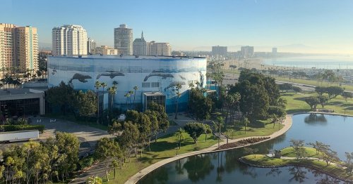 A scenic view of a waterfront city with a mural of dolphins on a building, surrounded by trees and a calm waterway.