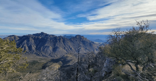 A panoramic view of rugged mountains under a blue sky, with sparse trees in the foreground.