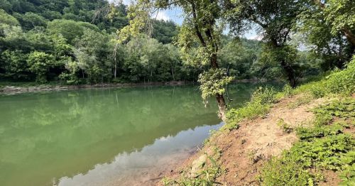 A serene riverbank scene with lush green trees reflecting in calm water under a clear sky.