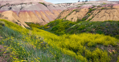 A vibrant landscape featuring colorful hills and lush green vegetation in a valley.