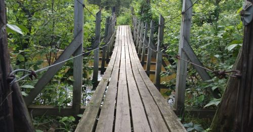 A wooden bridge stretches over a stream, surrounded by lush greenery and trees.