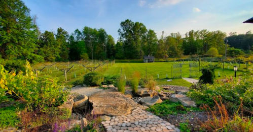 A scenic view of a lush garden with a stone pathway, green lawn, and trees under a clear blue sky.