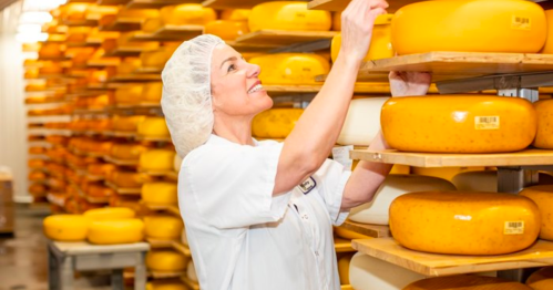 A woman in a hairnet inspects cheese wheels on wooden shelves in a cheese storage facility.