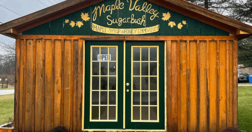 A wooden building with a green roof and doors, featuring a sign that reads "Maple Valley Sugarbush - Open."