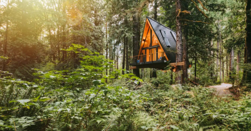 A modern A-frame cabin nestled among tall trees in a lush green forest, with warm light glowing from its windows.