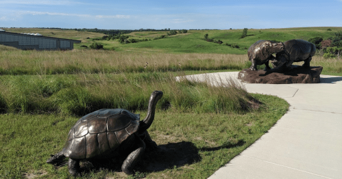 A bronze turtle sculpture near a grassy landscape, with a second sculpture of two bison in the background.