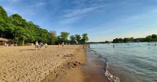 A sandy beach with people playing and swimming, surrounded by trees under a clear blue sky.