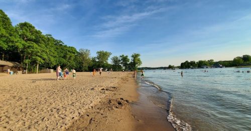 A sandy beach with people playing and swimming, surrounded by trees under a clear blue sky.