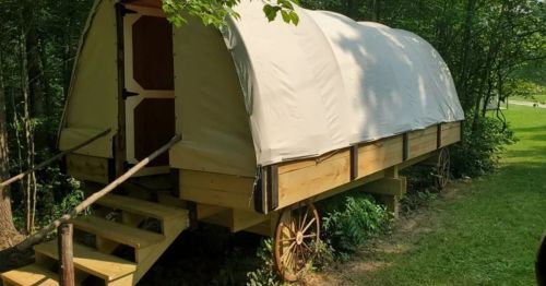 A wooden wagon with a white canvas cover, set on wheels, surrounded by greenery and trees.