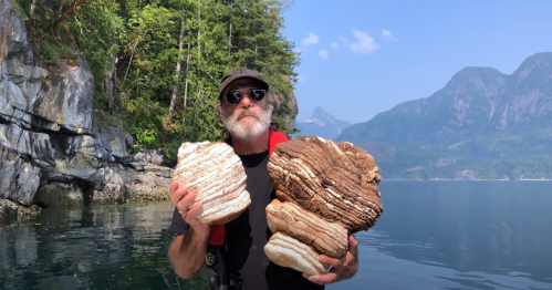 A man in sunglasses holds two large, uniquely patterned rocks by a serene lake surrounded by mountains and trees.