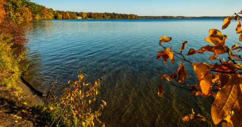 A serene lake surrounded by autumn foliage, with calm waters reflecting the clear blue sky.