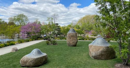 A serene garden scene featuring large, smooth stones on green grass, surrounded by blooming trees and a cloudy sky.