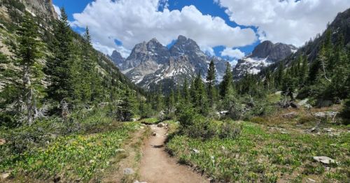 A scenic mountain landscape with a dirt path, lush greenery, and towering peaks under a partly cloudy sky.