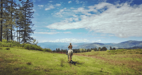 A person on horseback with a dog, overlooking a lush green landscape and distant mountains under a blue sky.