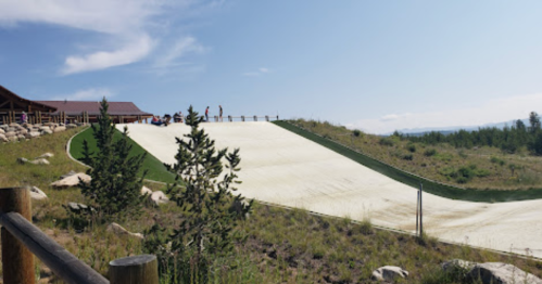 A grassy hill with a ski slope, surrounded by trees and rocks, under a clear blue sky.