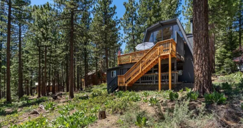 A modern cabin nestled among tall pine trees, featuring a wooden deck and surrounded by lush greenery.