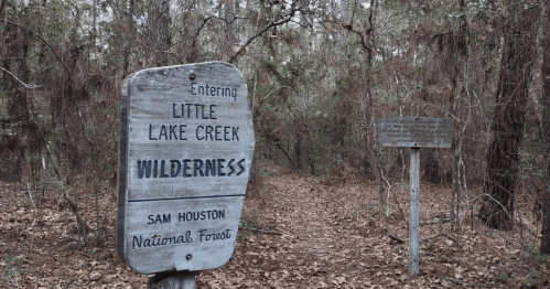 Sign marking the entrance to Little Lake Creek Wilderness in Sam Houston National Forest, surrounded by trees and foliage.