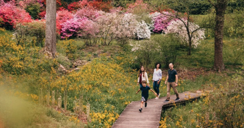 A family walks on a wooden bridge through a vibrant garden filled with colorful flowers and lush greenery.