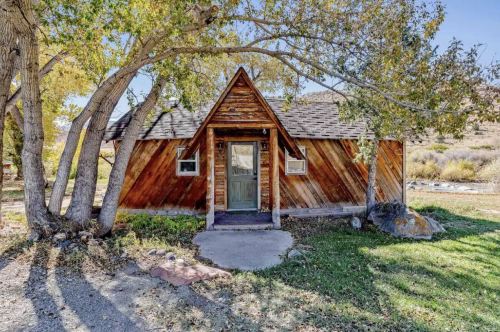 A rustic wooden cabin with an A-frame roof, surrounded by trees and a grassy area.