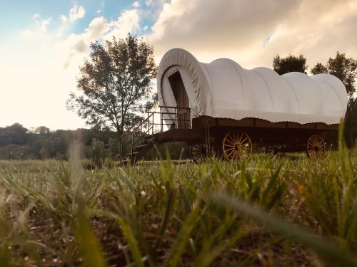 A covered wagon on a grassy field, with trees and a cloudy sky in the background.