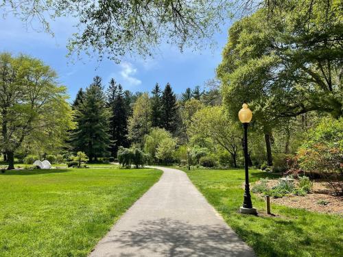 A serene park path lined with trees, leading through lush green grass under a clear blue sky.
