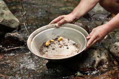 A person holds a pan with sediment and small gold pieces over a flowing stream.