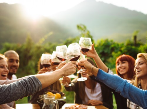 A group of friends toasting with wine glasses outdoors, surrounded by greenery and mountains in the background.