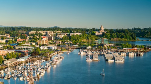 Aerial view of a marina with boats, city buildings, and a dome structure surrounded by greenery and water.