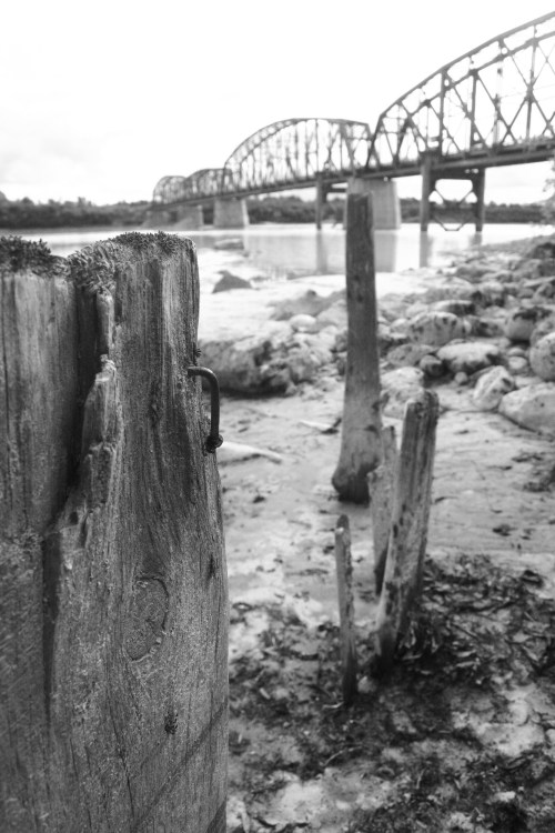A black and white image of a riverbank with wooden posts and a bridge in the background.