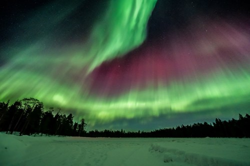 Vibrant aurora borealis lights up the night sky with green and purple hues over a snowy landscape.