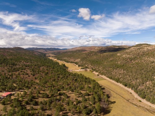 Aerial view of a lush valley surrounded by mountains, with scattered trees and a clear blue sky.