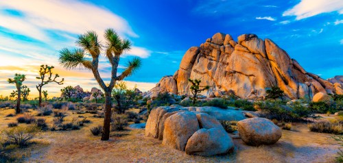 A vibrant desert landscape featuring Joshua trees, large boulders, and a colorful sky at sunset.