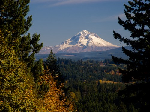 Snow-capped mountain rises above a forested landscape under a clear blue sky. Autumn colors in the foreground.