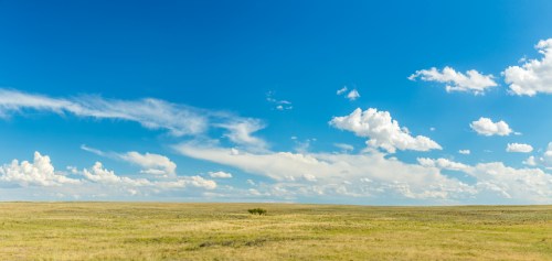 A vast, open landscape with green grass under a bright blue sky filled with fluffy white clouds.