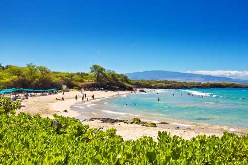 A sunny beach scene with people enjoying the water, surrounded by greenery and clear blue skies.