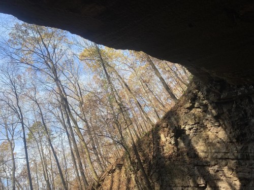 A rocky overhang with trees and a blue sky in the background, capturing a serene natural landscape.