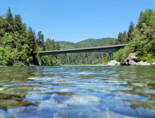 A clear river with visible rocks beneath the water, framed by lush green trees and a concrete bridge in the background.