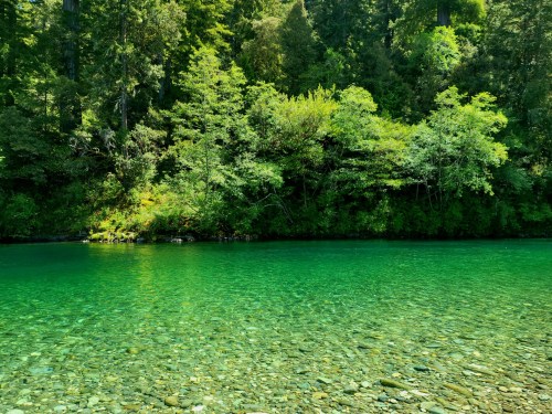 A serene river with clear, turquoise water surrounded by lush green trees and foliage.