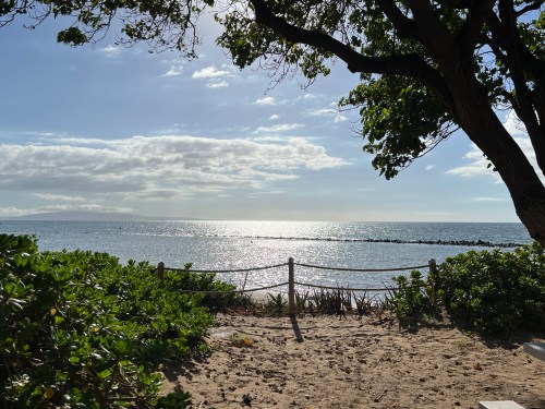 A serene beach scene with calm waters, a sandy shore, and lush greenery under a bright sky.