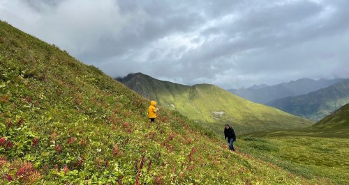 Two people walking on a lush, green hillside with mountains and cloudy skies in the background.