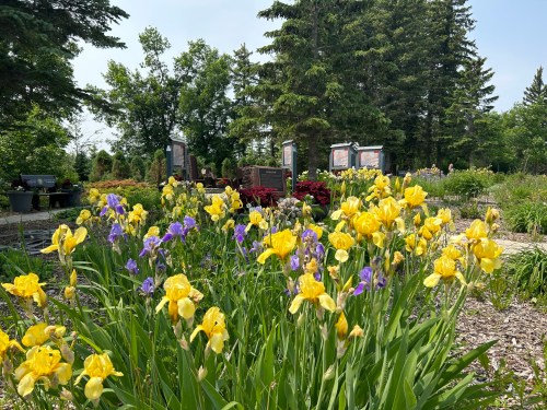 A vibrant garden filled with yellow and purple flowers, surrounded by trees and informational signs in the background.